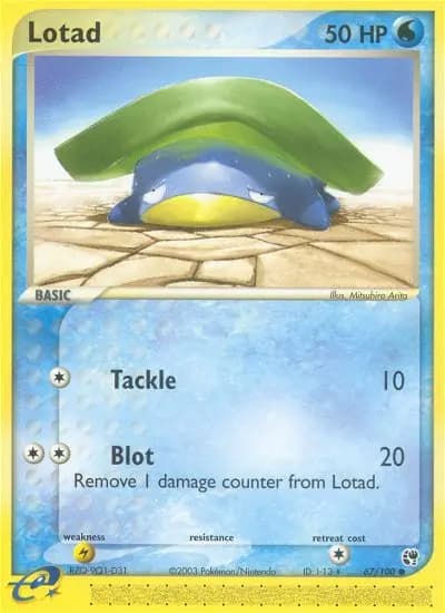 Lotad #67 — Sandstorm