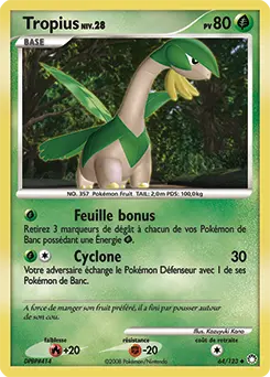 Carte Pokémon Tropius #64 — Trésors Mystérieux