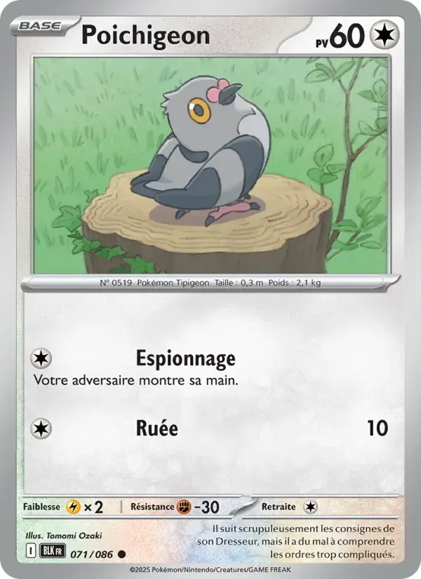 Carte Pokémon Poichigeon #071 — Foudre Noire