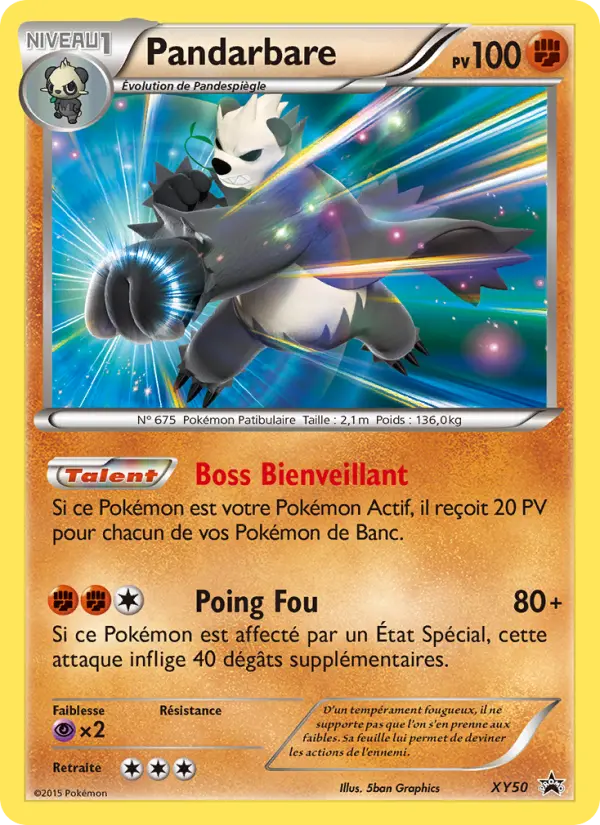 Carte Pokémon Pandarbare #XY50 — Promos X&Y