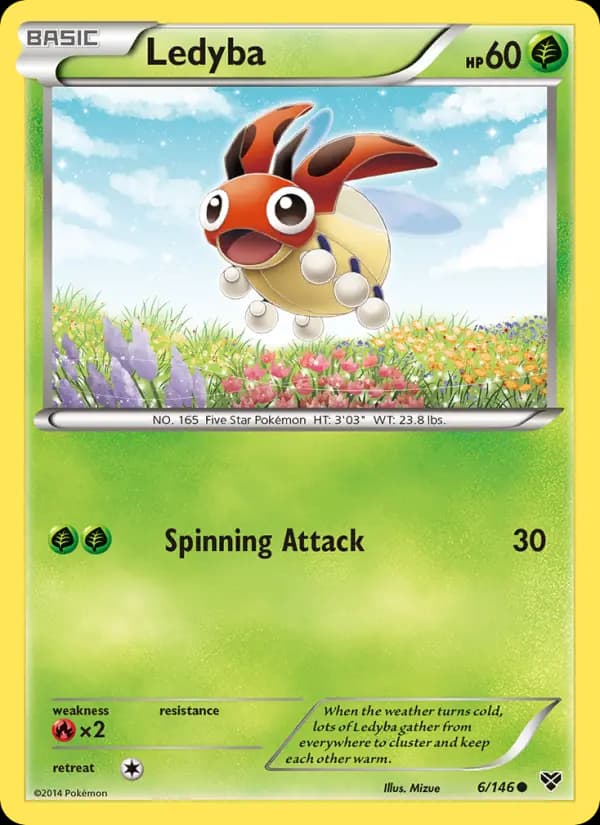 Ledyba #6 — XY