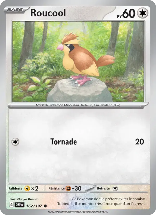 Carte Pokémon Roucool #162 — Flammes Obsidiennes