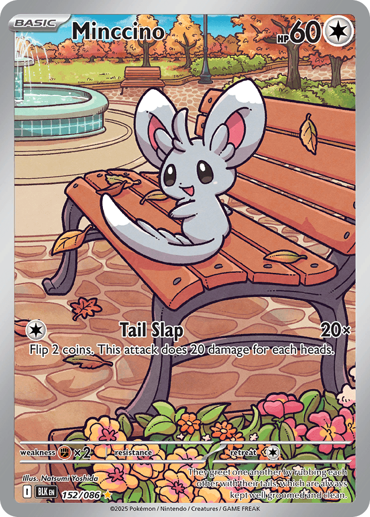 Carte Pokémon Chinchidou #152 — Foudre Noire