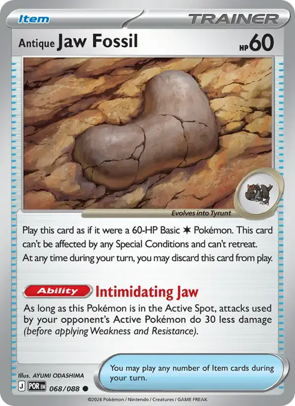 Antique Jaw Fossil #068 — Perfect Order