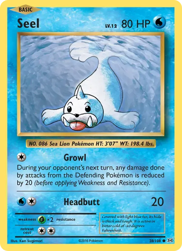 Seel #28 — Evolutions