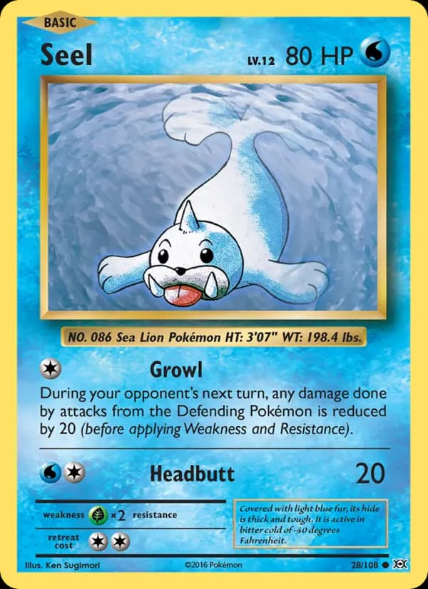Seel #28 — Evolutions