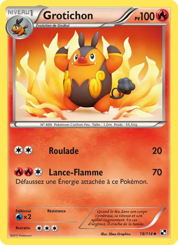Carte Pokémon Grotichon #18 — Noir et Blanc