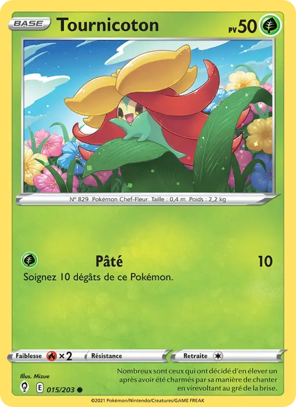 Carte Pokémon Tournicoton #15 — Évolution Céleste