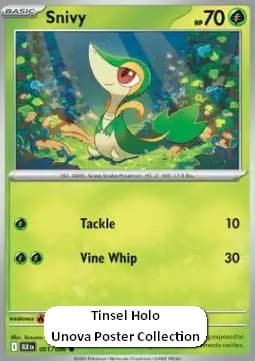 Snivy #001 Tinsel Holo — Black Bolt