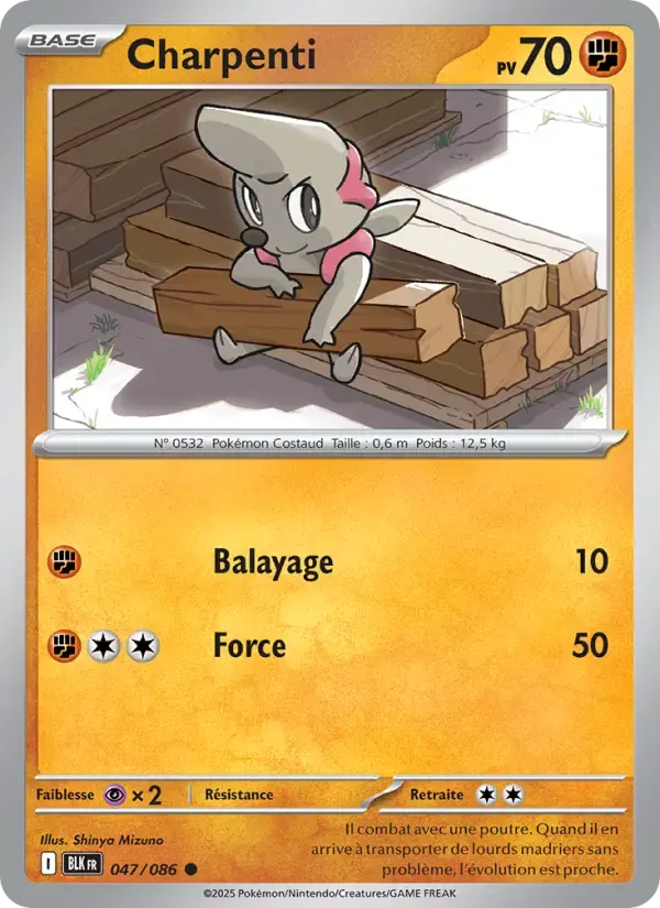 Carte Pokémon Charpenti #047 — Foudre Noire