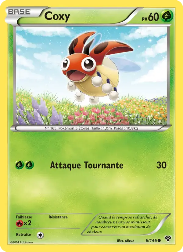 Carte Pokémon Coxy #6 — XY