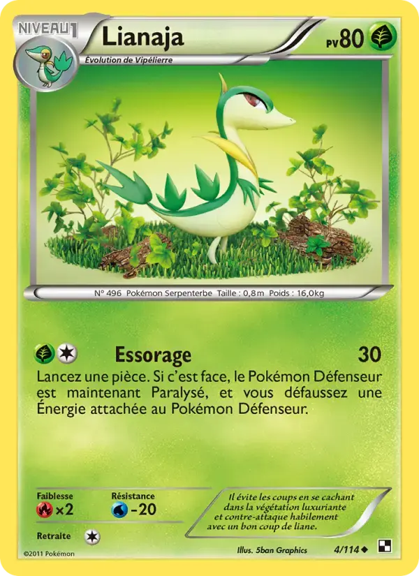Carte Pokémon Lianaja #4 — Noir et Blanc
