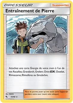 Carte Pokémon Entraînement de Pierre #55 — Destinées Occultes