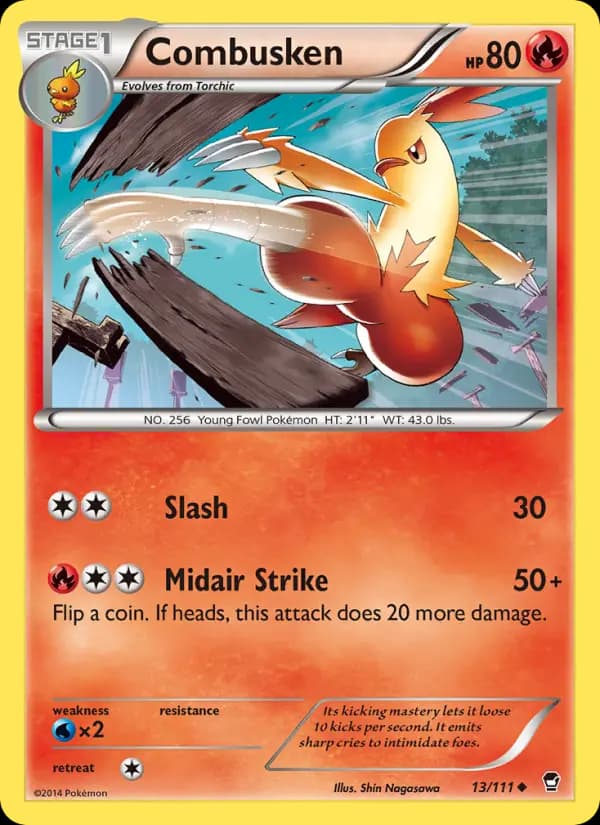 Combusken #13 — Furious Fists