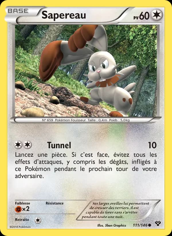 Carte Pokémon Sapereau #111 — XY