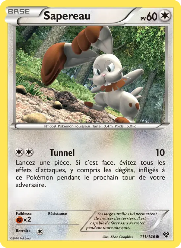 Carte Pokémon Sapereau #111 — XY