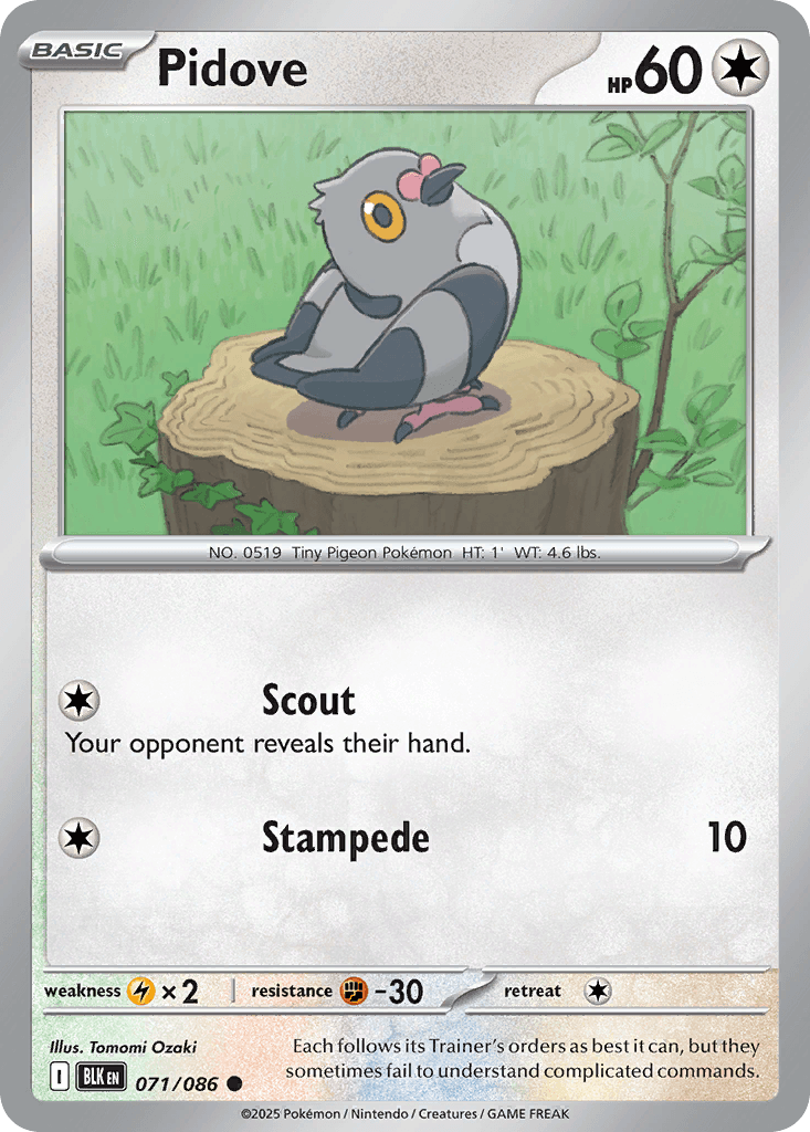 Carte Pokémon Poichigeon #071 — Foudre Noire