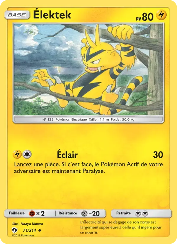 Carte Pokémon Élektek #71 — Tonnerre Perdu