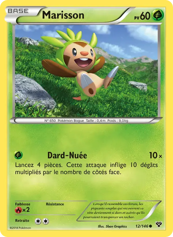 Carte Pokémon Marisson #12 — XY