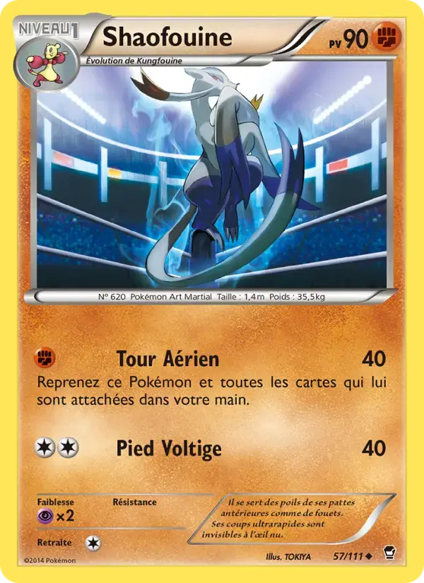 Carte Pokémon Shaofouine #57 — Poings Furieux
