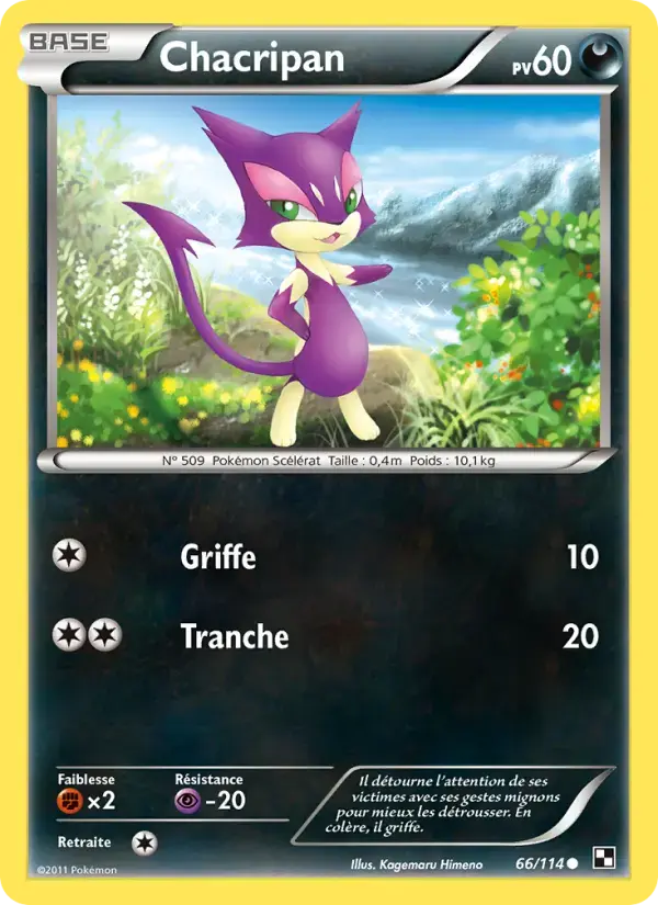 Carte Pokémon Chacripan #66 — Noir et Blanc