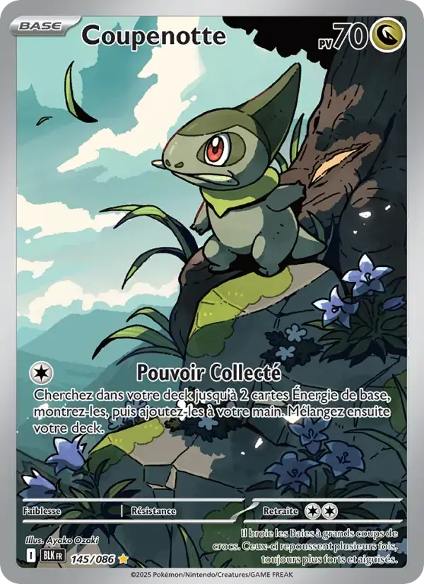 Carte Pokémon Coupenotte #145 — Foudre Noire