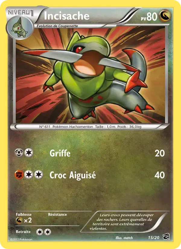 Carte Pokémon Incisache #15 — Coffre des Dragons