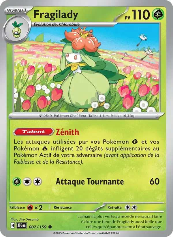 Carte Pokémon Fragilady #007 — Aventures Ensemble