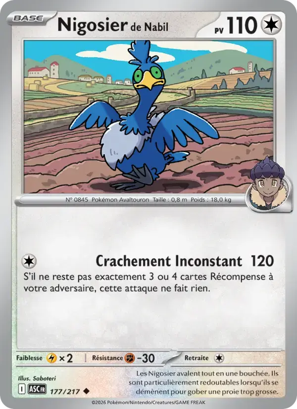 Carte Pokémon Nigosier de Nabil #177 — Héros Transcendants