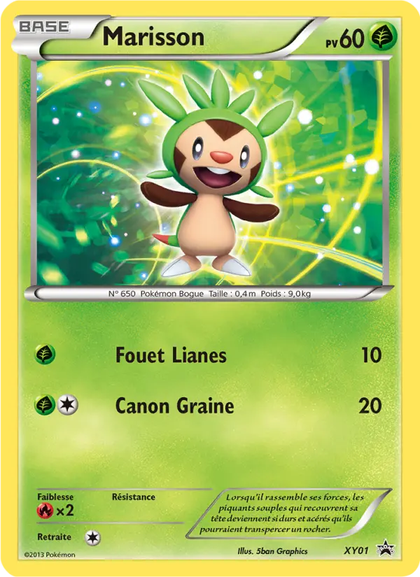 Carte Pokémon Marisson #XY01 — Promos X&Y