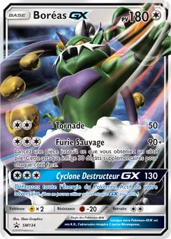 Carte Pokémon Boréas GX #SM134 — Promos Soleil et Lune