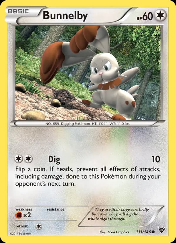 Bunnelby #111 — XY