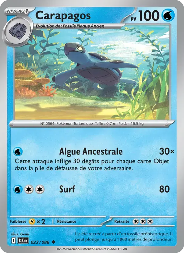 Carte Pokémon Carapagos #022 — Foudre Noire