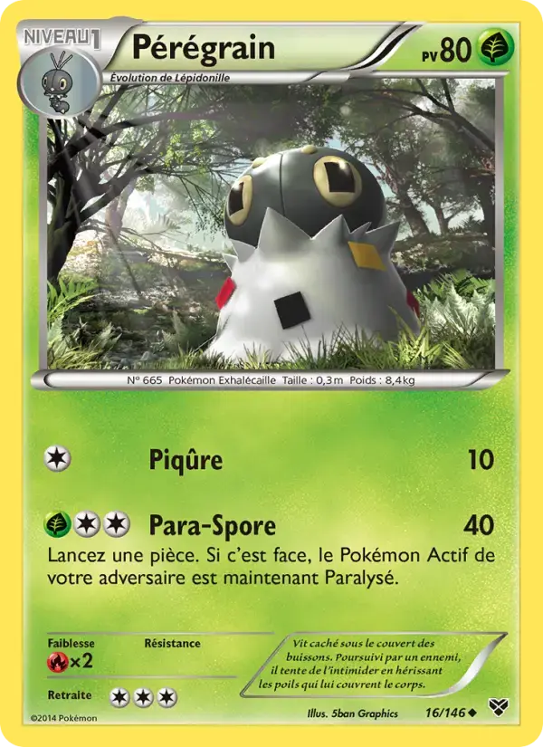 Carte Pokémon Pérégrain #16 — XY