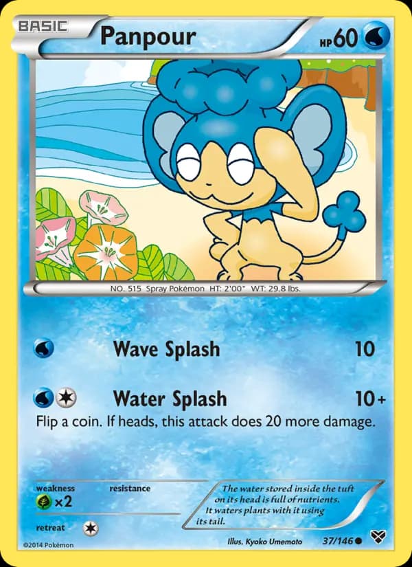 Panpour #37 — XY