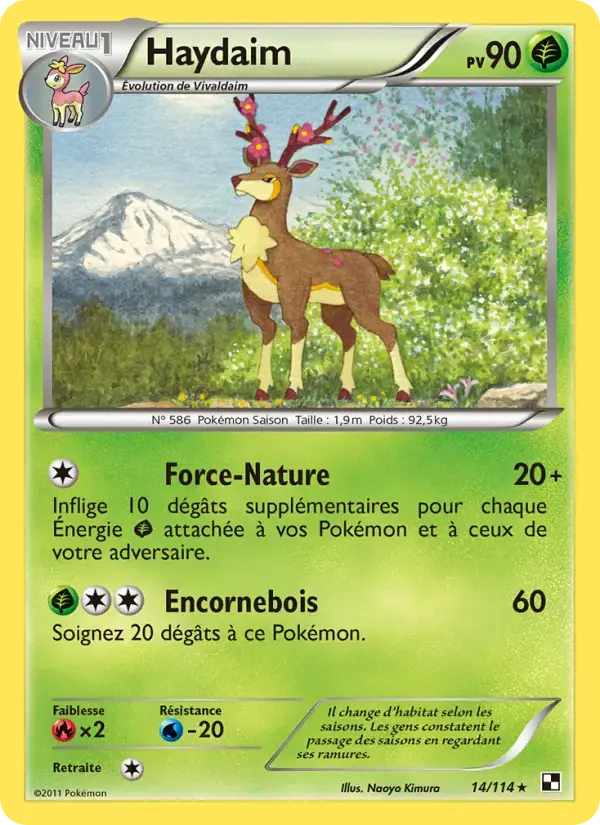 Carte Pokémon Haydaim #14 — Noir et Blanc