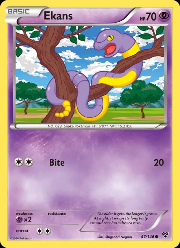 Ekans #47 — XY