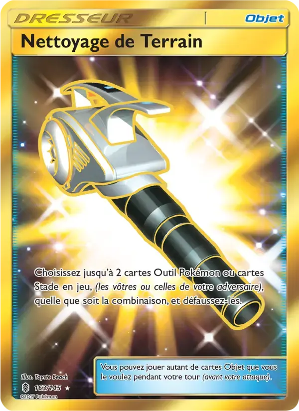 Carte Pokémon Nettoyage de Terrain #163 — Gardiens Ascendants