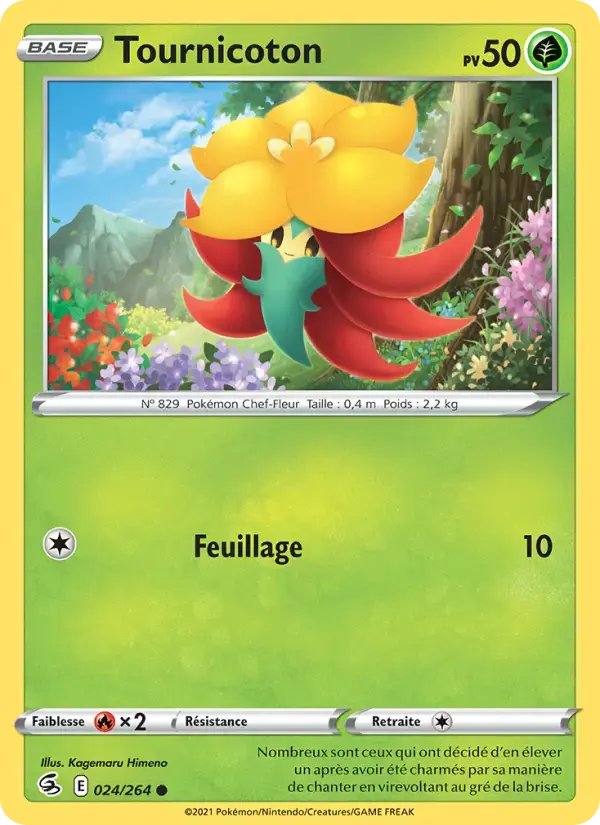 Carte Pokémon Tournicoton #24 — Poing de Fusion