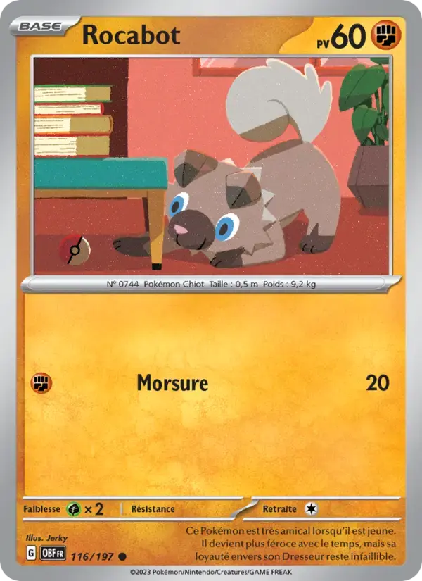 Carte Pokémon Rocabot #116 — Flammes Obsidiennes