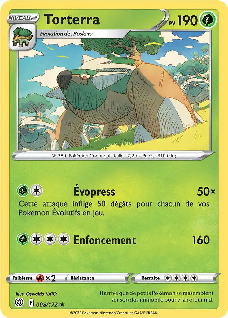 Carte Pokémon Torterra #008 Non Holo — Stars Étincelantes