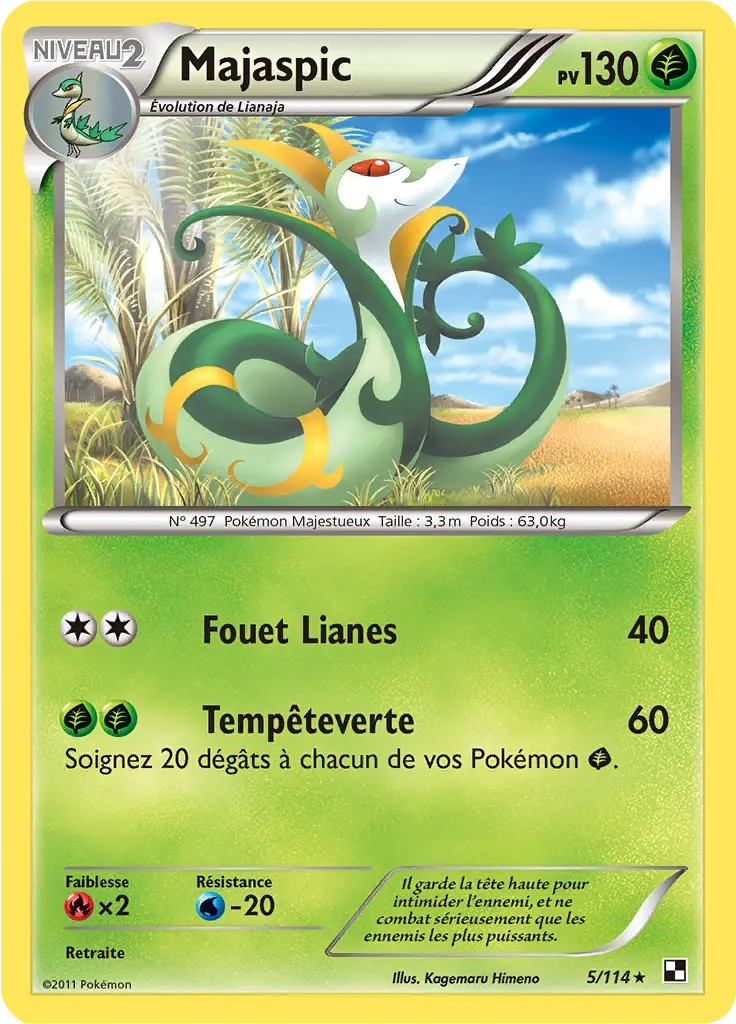 Carte Pokémon Majaspic #005 Cracked Ice — Noir et Blanc