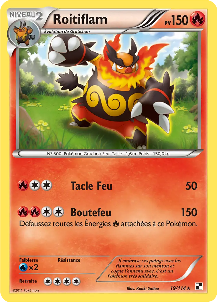Carte Pokémon Roitiflam #019 Cracked Ice — Noir et Blanc