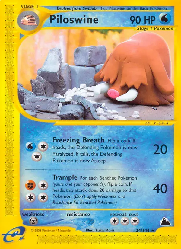 Carte Pokémon Cochignon #24 — Skyridge