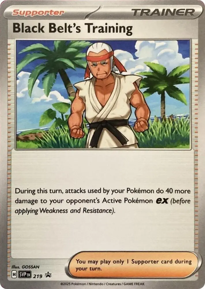 Carte Pokémon Entraînement de Karatéka #219 — Promos Écarlate et Violet