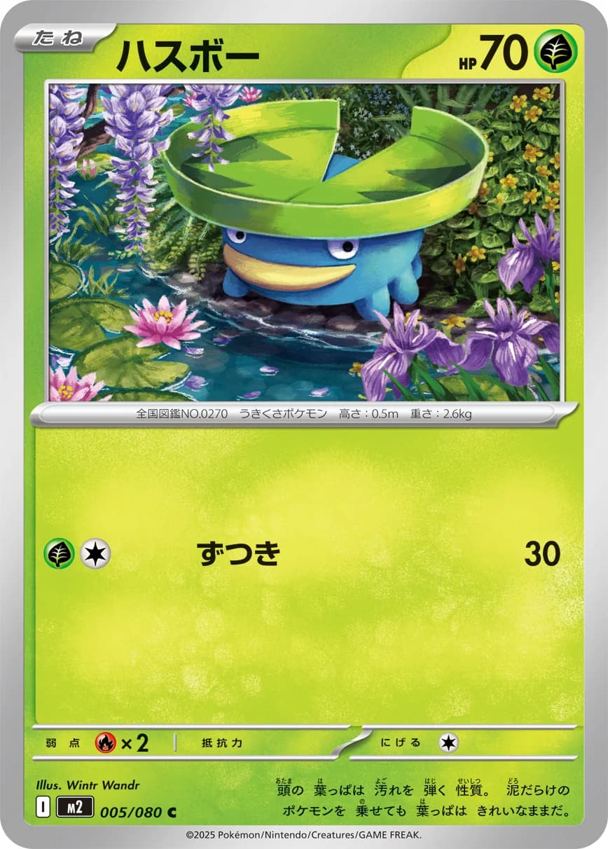 Carte Pokémon ハスボー #005 — Inferno X