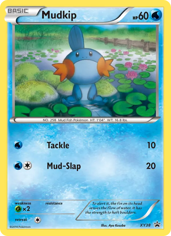 Mudkip #XY38 — XY Promos
