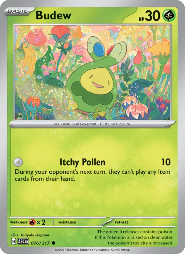 Budew #016 — Ascended Heroes