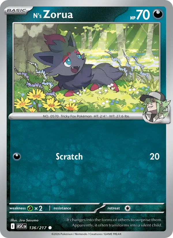 N's Zorua #136 — Ascended Heroes