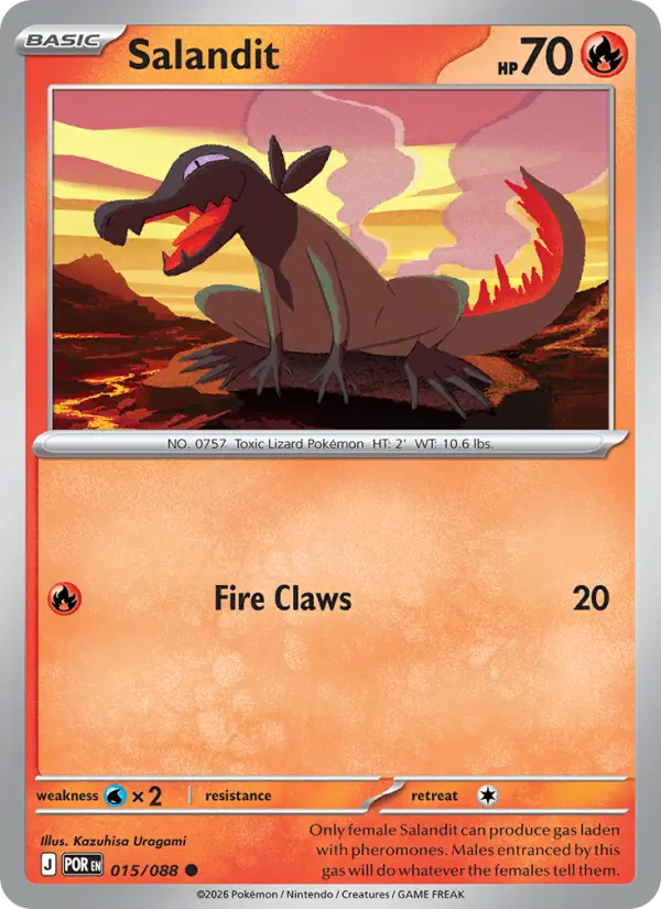 Salandit #015 — Perfect Order